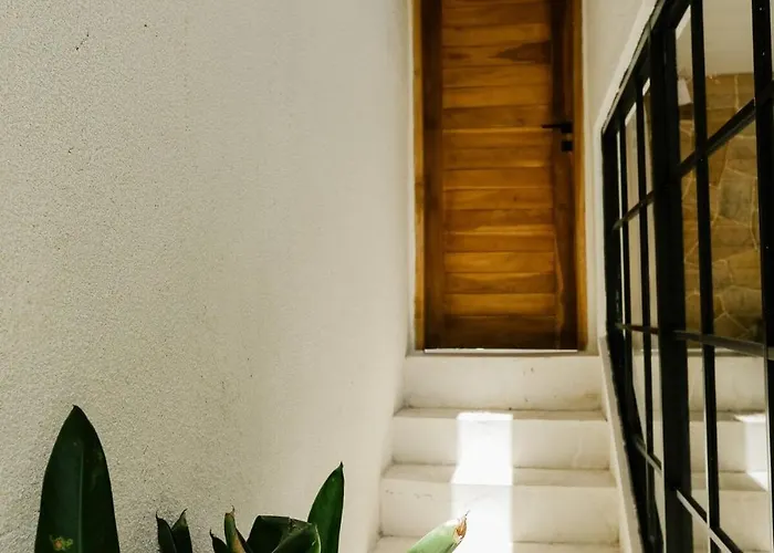 Villa Tamu 2 *